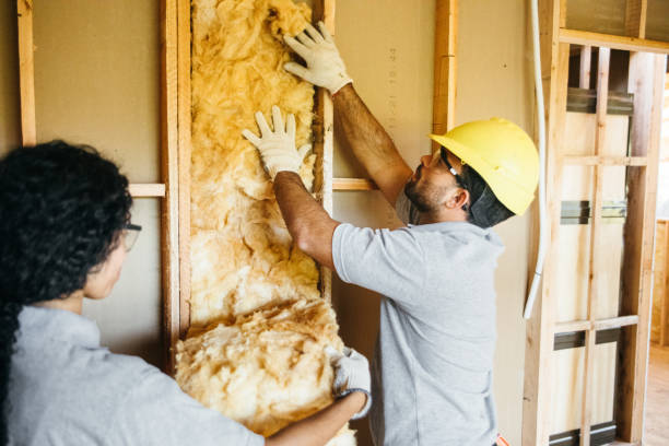 Best Soundproof Insulation  in Clyde, NC