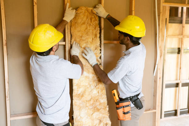 Best Spray Foam Insulation  in Clyde, NC